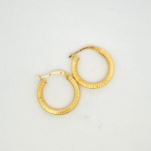 EARINGS