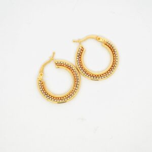 EARINGS